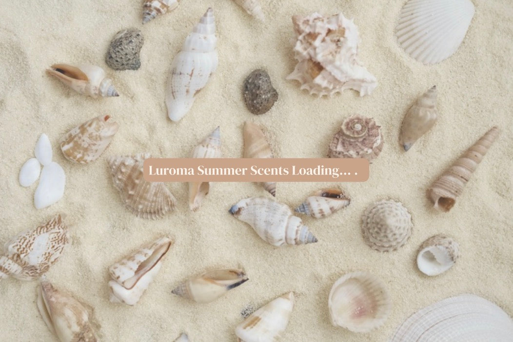 Summer Collection