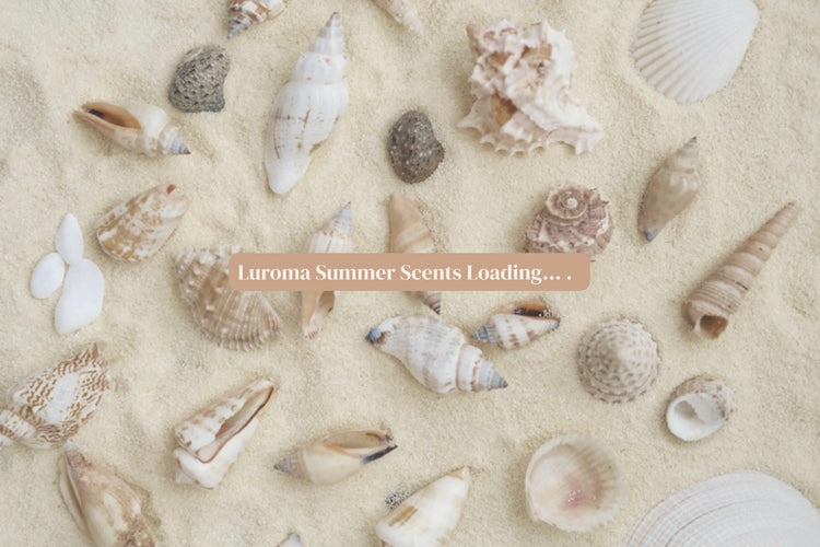 Summer Collection